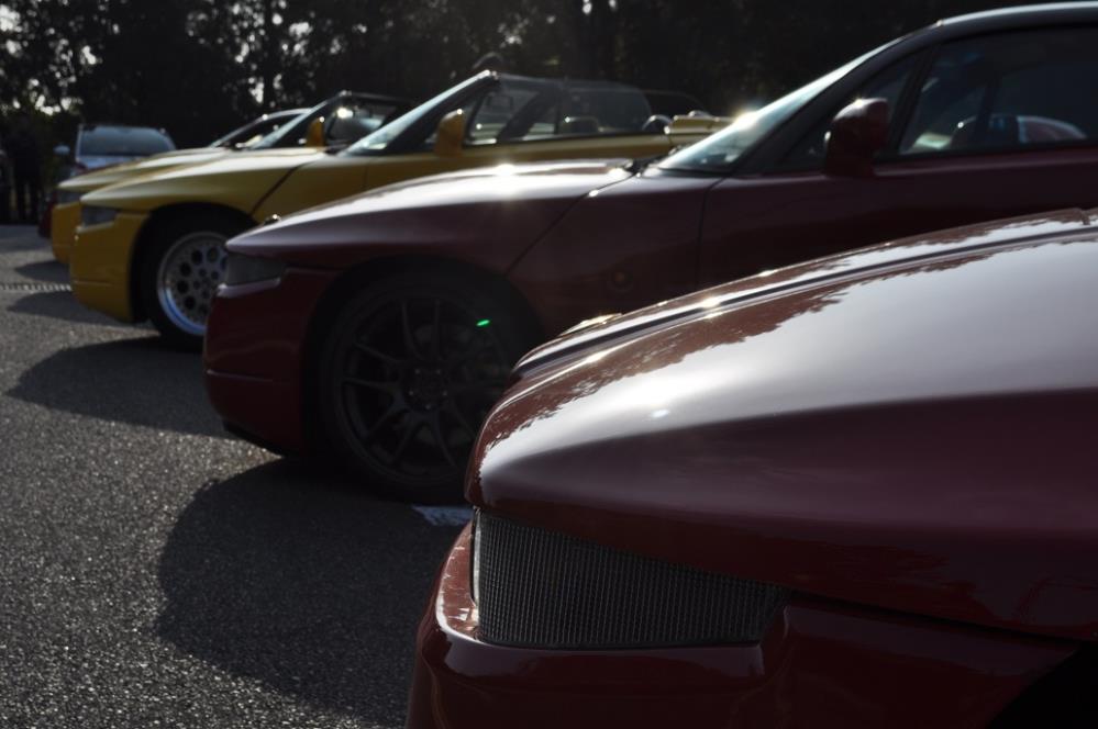 180121MAIKO (29).JPG